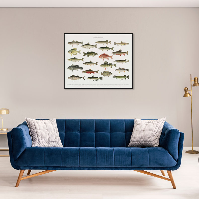 " American Fish " Painting Print, 28" H x 24" W, Black Framed