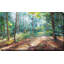 Woodland Reverie - Peinture-899732403-878566303