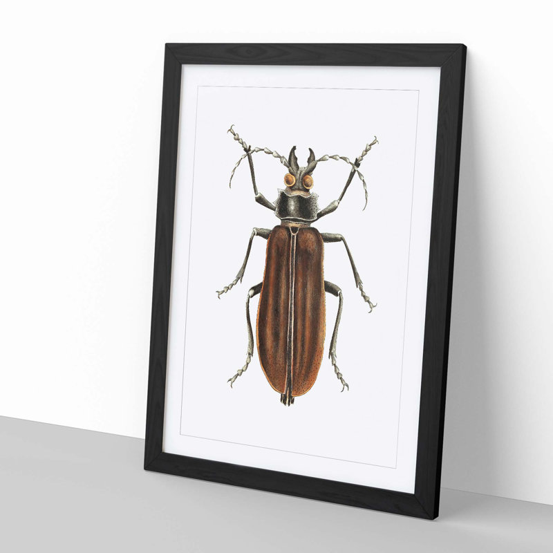 Beetle by George Shaw - Picture Frame Painting, Black, 60cm H x 40cm W x 2cm D
