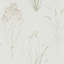 Farne Grasses Wallpaper-50888824