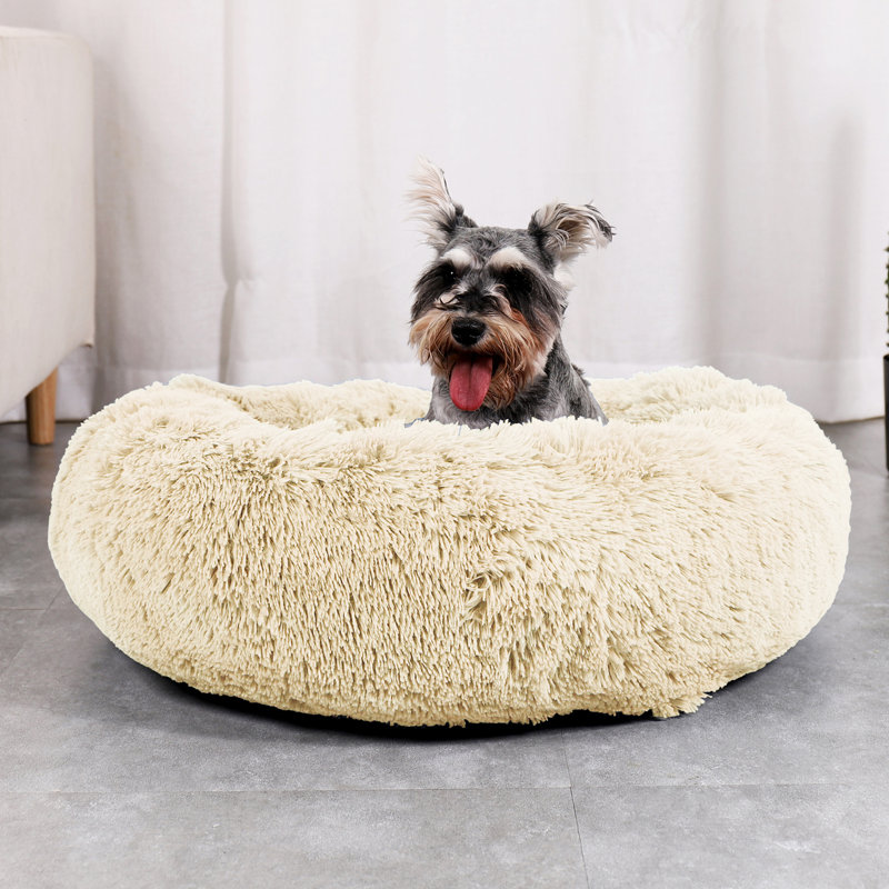 Polyester Pet Bed, Extra Small (58.4cm W x 58.4cm D x 15.2cm H), Ivory