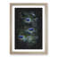 The Feathers of a Peacock - Framed Print-56742689-56742690