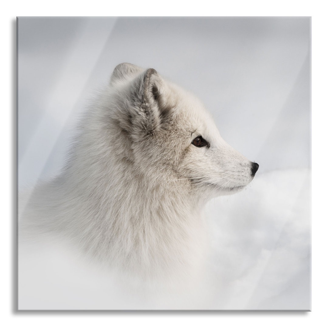 Ungerahmtes Foto auf Glas "Anmutiger Polarfuchs im Schnee"