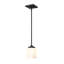 Luminaire suspendu à 1 lumière à 1 lumière-68537039