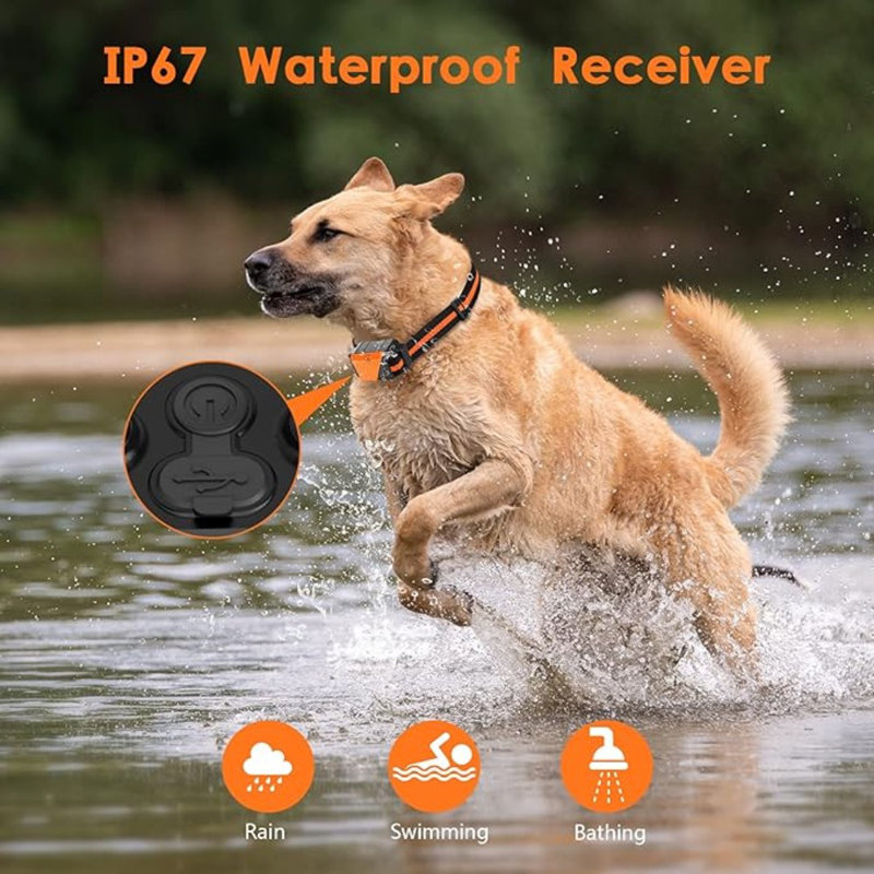 Collar Technologies Best E Collar Dog Training Training Collars