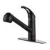 Oil Rubbed Bronze