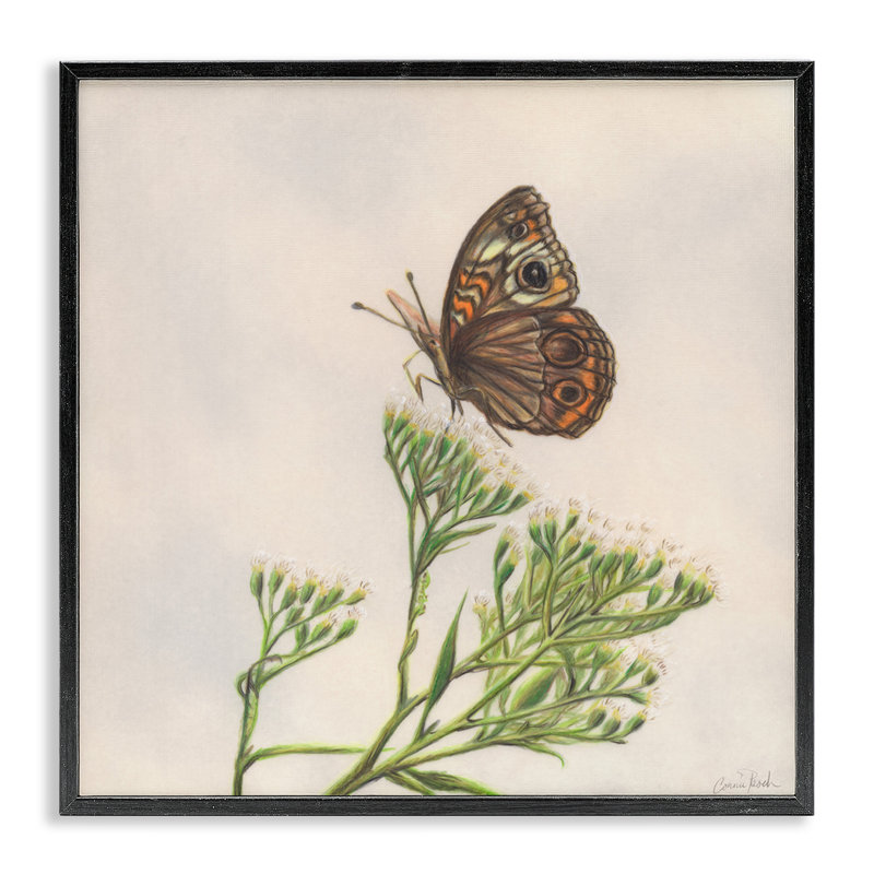«Spring Offings», art de la giclée par Connie Resch, H 12 po x l 12 po, Giclée encadrée noir minuit