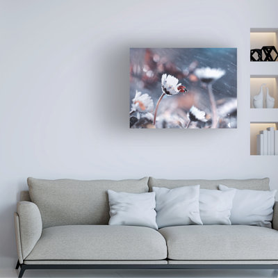 Contemporary
