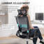 Nikaylah Foldable Mesh Office Chair, Ergonomic Task Chair with 2D Headrest , 2D Armrest and Footrest-680591246
