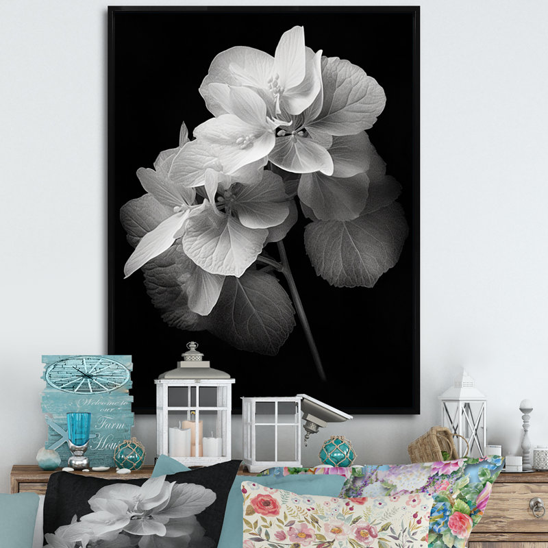 " Black White Hydrangea Blooming I ", Black Floater Framed, 44" H x 34" W x 1.5" D