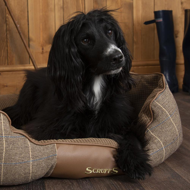 Windsor Polyester Pet Bed, Chestnut/Saddle Brown, 16cm H x 50cm W x 40cm D