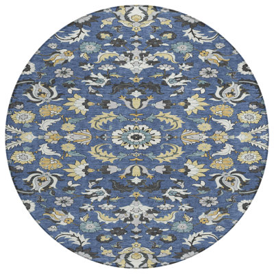 Machine Washable Indoor/Outdoor Chantille ACN2473 Global Rug