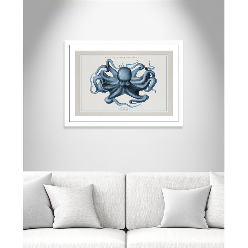 «Atlantic Marine Museum Octopus II», cadre photo, Papier encadré blanc mat, H 27 po x l 37 po x P 1,25 po