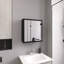 Armoire à miroir H 21,1 po x l 19,7 po pour salle de bain et cuisine, noir, 4 tablettes intérieures et support à serviettes