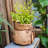 Claxten Handmade Pot Planter-656268230