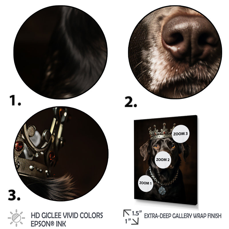 «Crowned Royal Labrador Dog II», art mural chien, Cadre flottant blanc, H 40 po x l 30 po x P 1,5 po