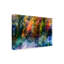«Colorful Forest» par Wei He - reproduction d'art sur toile tendue-888237197-888237298-853649493