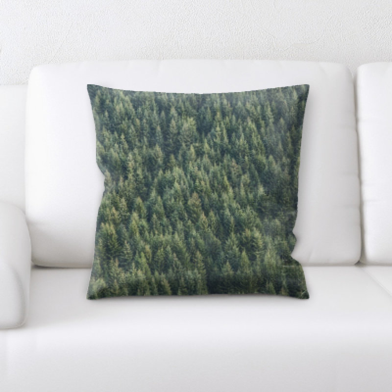 Coussin décoratif Flat Aerial Shots