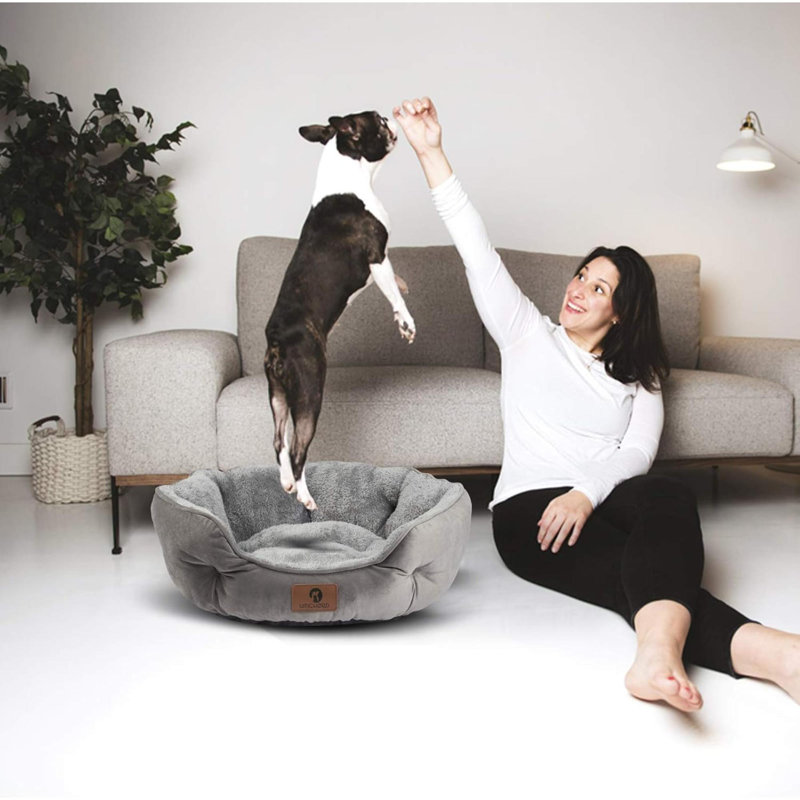 Lit pour chien pour chien, lit pour chat d'intérieur, lit pour animal de compagnie pour chiot et chaton, lavable à la machine avec antidérapant et résistant à l'eau