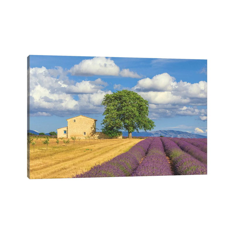 France, Provence, Valensole Plateau. Lavender Rows And Farmhouse. by Jaynes Gallery - Wrapped Canvas Print