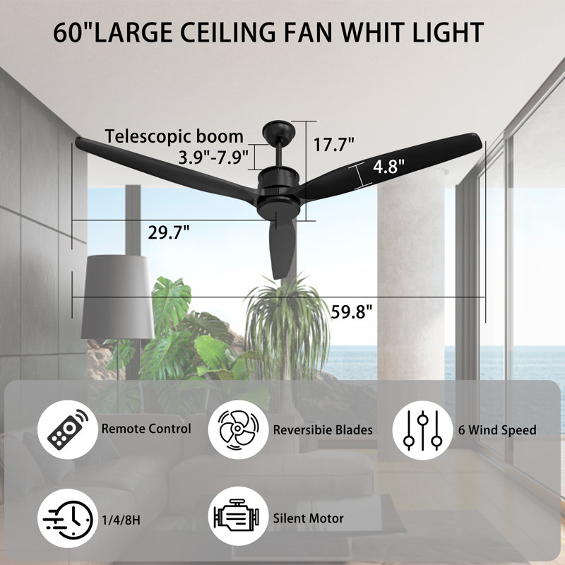 Ceiling Fan