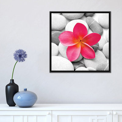 " Zen Flower " by PhotoINC Studio