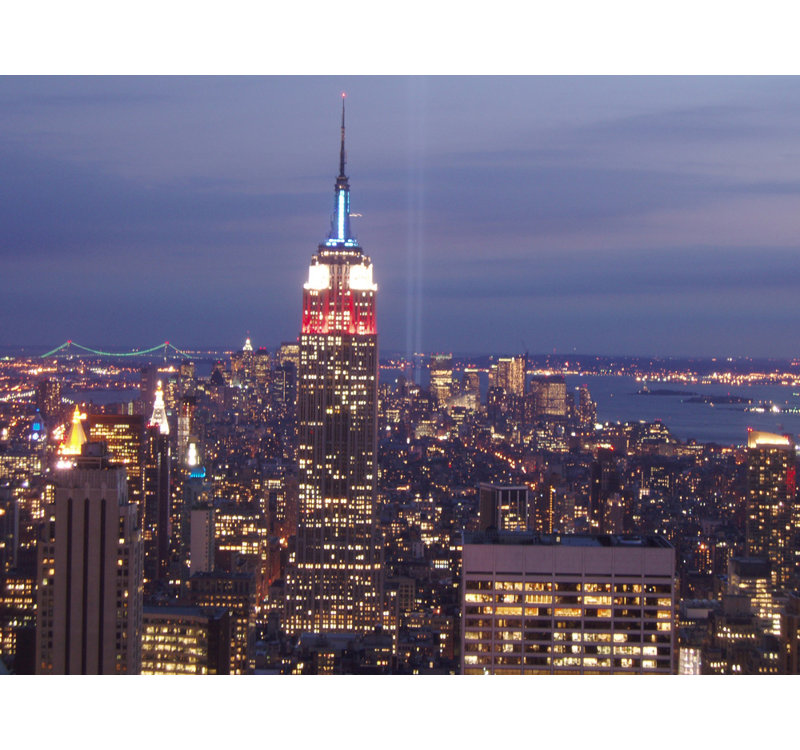 New York City Empire State Building, H 14 po x l 18 po