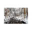 Stream In Winter, Nova Scotia, Canada - Horizontal by Scott Leslie - Wrapped Canvas Print-942352595