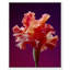 Taffeta Twilight I Print by Oliver Gal-1936432512-1936432533