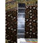 Kataleya Oriental Area Rug in Black