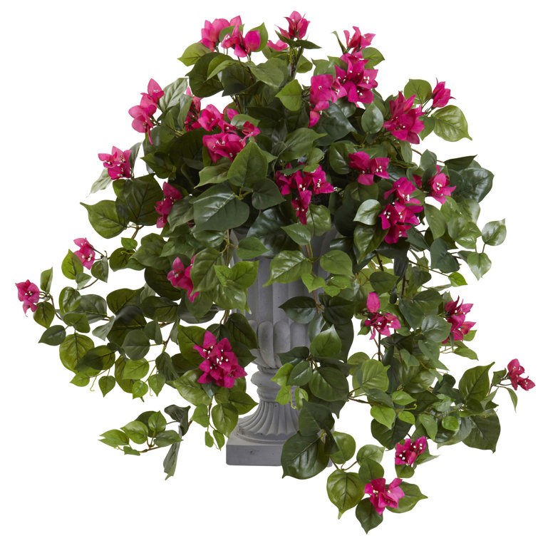 Bougainvillea Flowering Silk Plant with Decorative Urn, UV Resistant (Indoor/Outdoor)