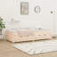Day Bed Solid Wood-79241133-79241141