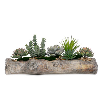 9'' Faux Succulent Plant in Cement Log