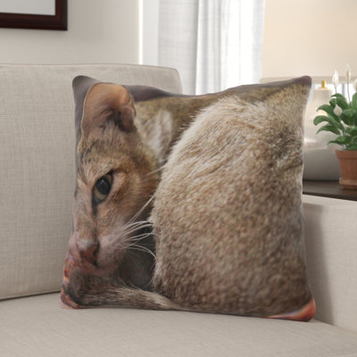Drumack Square Pillow Cover & Insert