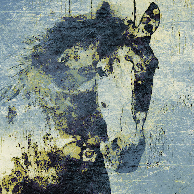 «Gorgeous Horse V» par Irena Orlov, reproduction d'art graphique sur toile, H 18 po x l 18 po x p 1,5 po, Toile tendue