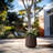 Brenno Round large Tall Outdoor / Indoor Concrete Planters Plant Pot-1522896869-1505786115