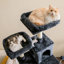 Grand condo 64 "pour chat-827456026-848029378