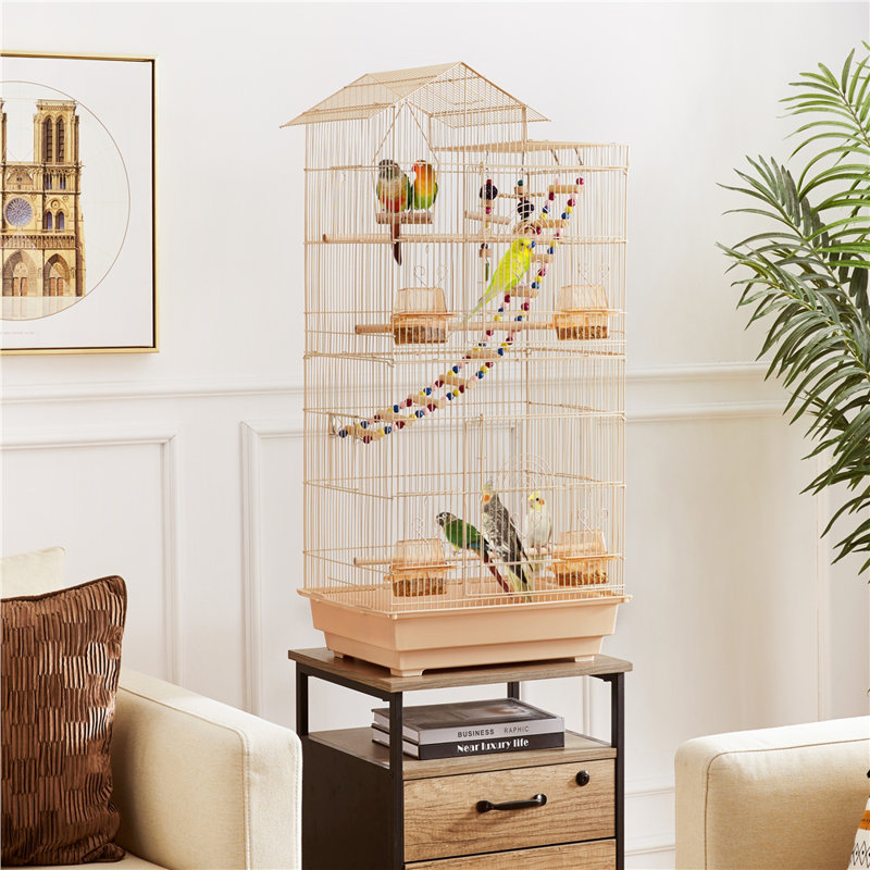 Iron Pointed Top Floor Bird Cage with Perch, Almond