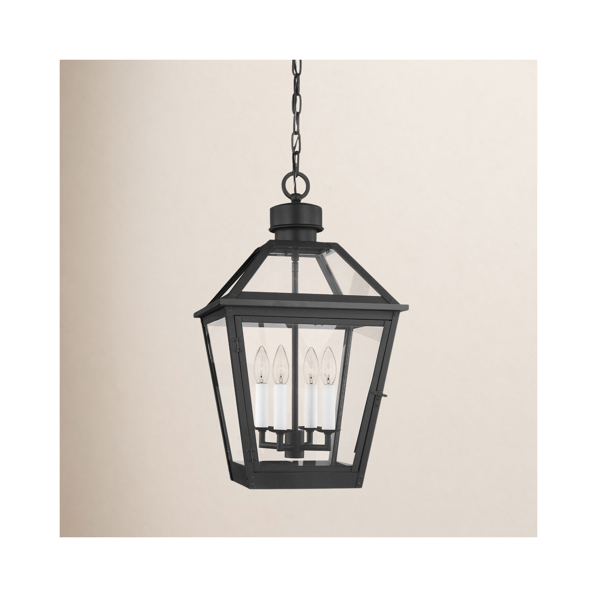 Transparent Outdoor Pendant, Textured Black
