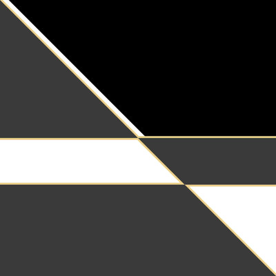 " Black And White With Gold Colour Blocking "