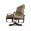 Belle Isle Outdoor Lounge Chair-1559754404-1556701992