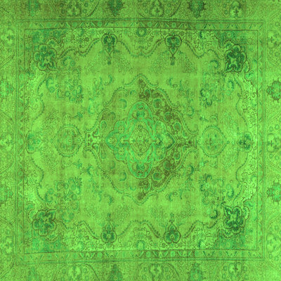 Performance Oriental Indoor Rug
