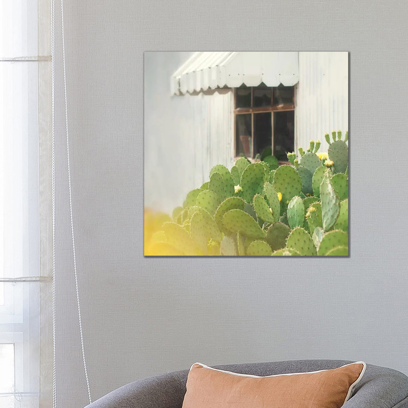 Cactus And Window by Mandy Lynne - Wrapped Canvas Print, 66.04 cm H x 66.04 cm W x 3.175 cm D
