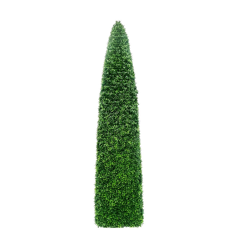 BOXWOOD OBLISK CONE TREE