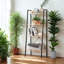 Anaysha 145 cm H x 60 cm W Bookcase-1465759587