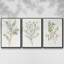 Ensemble de 3 pièces encadrées sur toile simple Sprig II-97706633-97706636