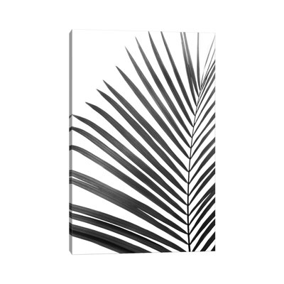 " Palm Leaf In Black And White " by Sisi And Seb