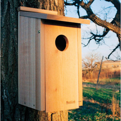 Woodlink Wooden Screech Owl Kestrel Bird House Nesting Box With Wood Shavings