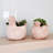 Chaman Handmade Pot Planter