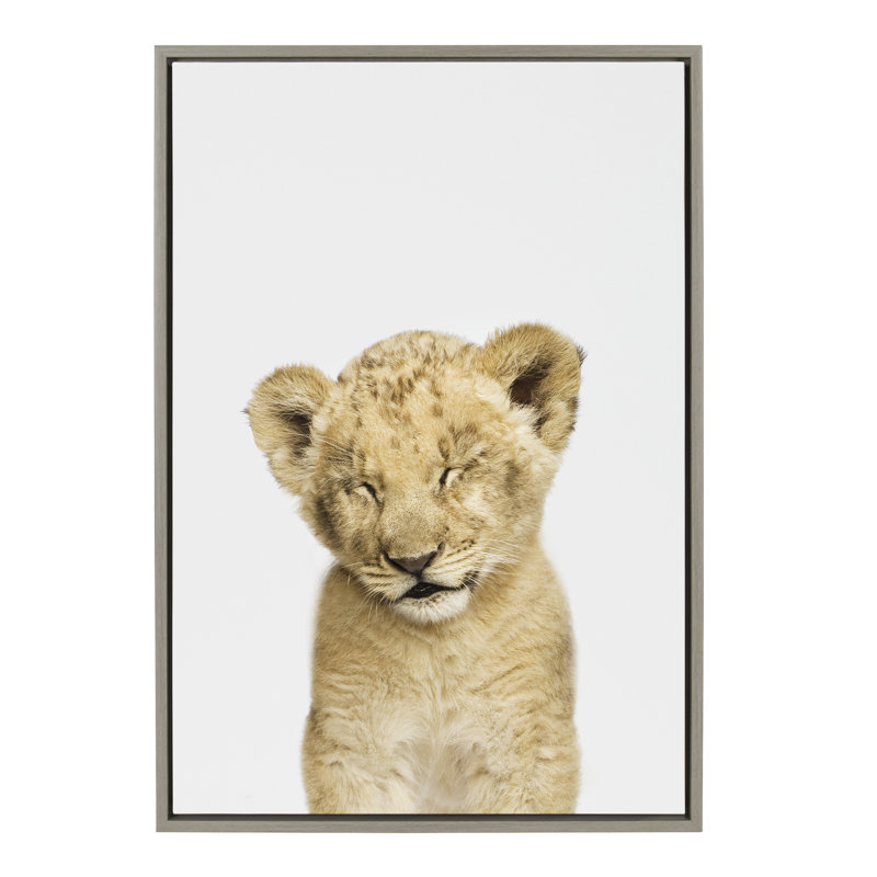 «Animal Studio Sleepy Lion» par Amy Peterson, reproduction d'art sur toile encadrée, 23 po x 33 po, Cadre gris